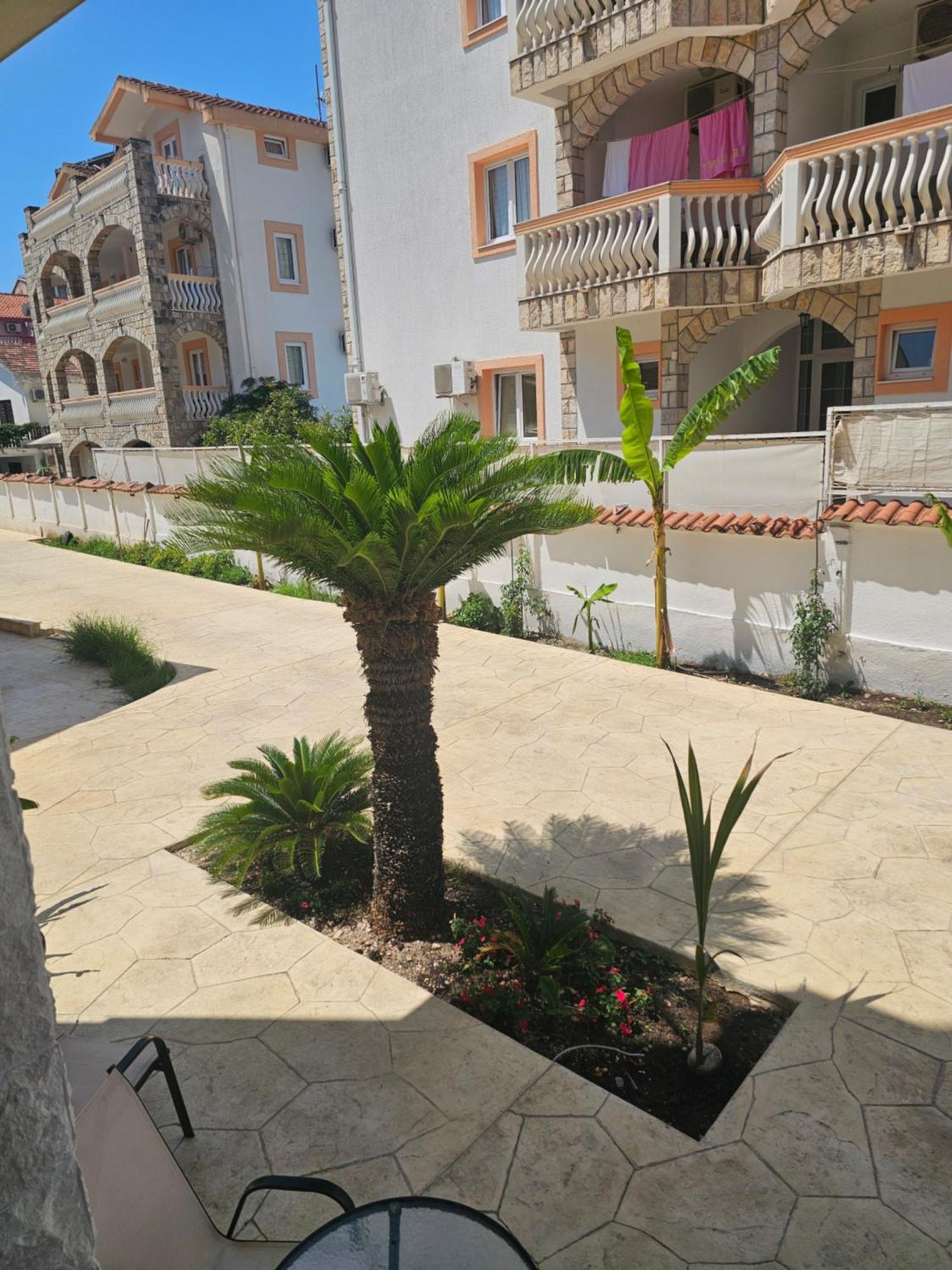 Guest house La Vida *